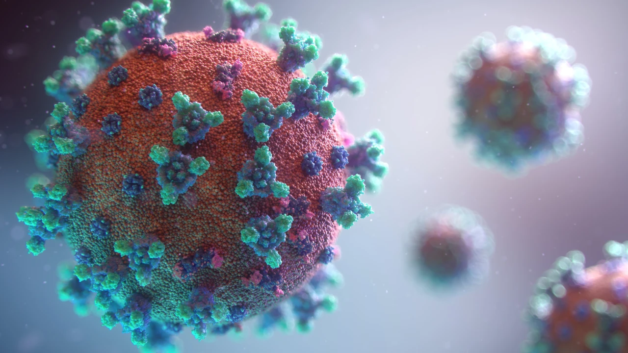 Coronavirus news image header