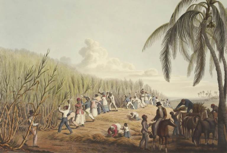 Slavery cover image